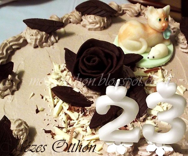 csokoládé rózsa és csokoládé levelek csokoládé gyurmából fotó